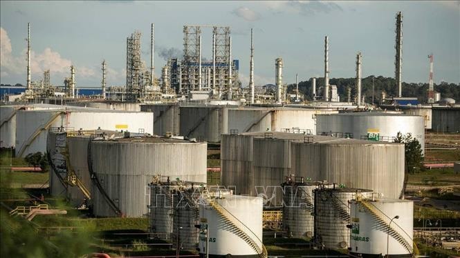 Бразилия присоединится к ОПЕК+ в следующем году; Россия и Саудовская Аравия продолжают сокращать добычу нефти - ảnh 1