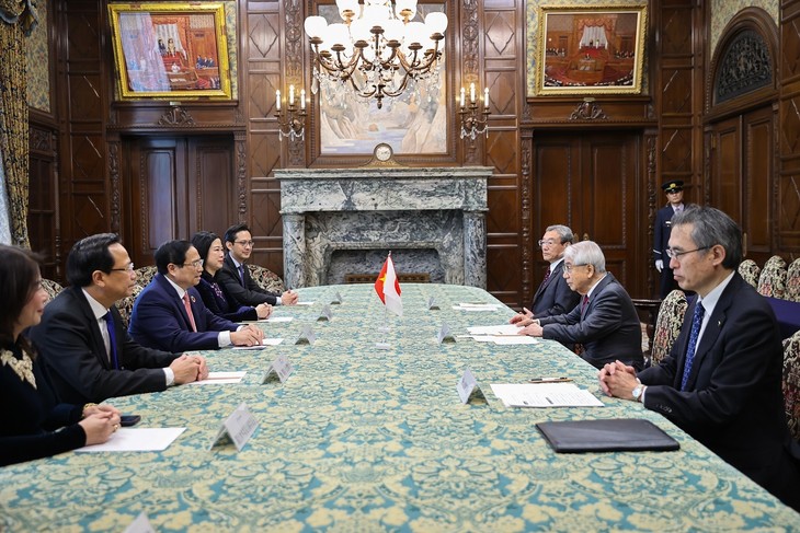 Премьер-министр Фам Минь Тинь провел встречи с председателями Палаты представителей и Палаты  советников Японии  - ảnh 2