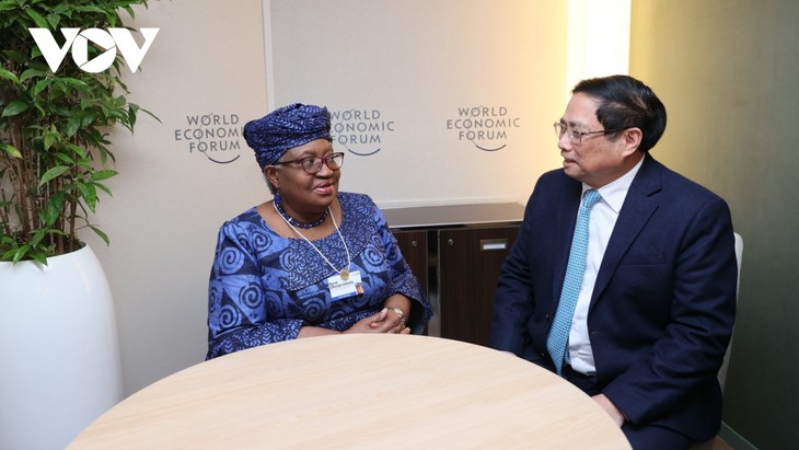 Премьер-министр Фам Минь Тинь провел встречу с генеральным директором ВТО  - ảnh 1