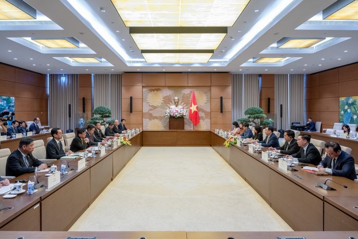 Председатель НС провел встречу с председателем японско-вьетнамского комитета по экономическим вопросам - ảnh 1