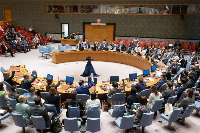 Совбез ООН принял резолюцию по теме защиты гуманитарных работников  - ảnh 1