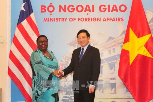 Bộ trưởng Ngoại giao Liberia và Việt Nam hội đàm - ảnh 1