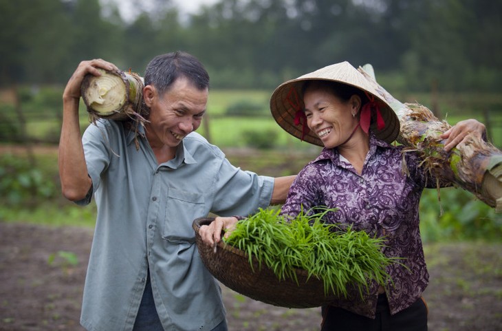 Việt Nam đạt thành tựu cao về bình đẳng giới - ảnh 1