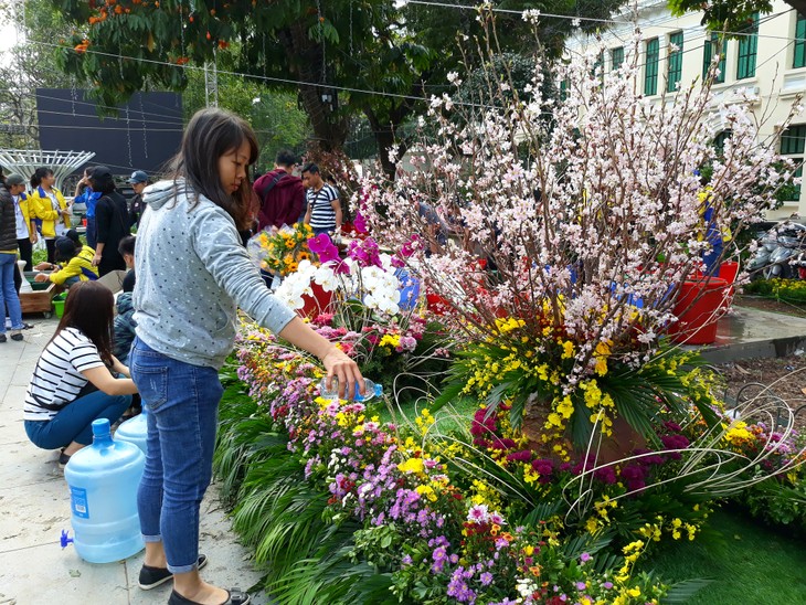 Cận cảnh chuẩn bị Lễ hội hoa anh đào 2018 tại Hà Nội - ảnh 3