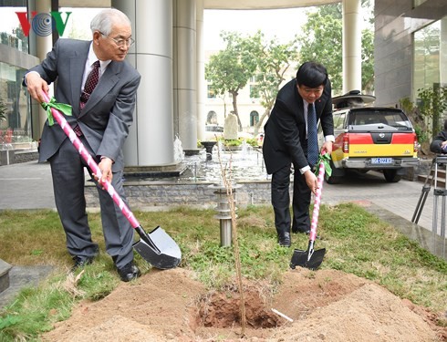 Đài TNVN tiếp nhận 100 cây hoa anh đào do Trường tiếng Nhật Kairinjuku trao tặng - ảnh 4
