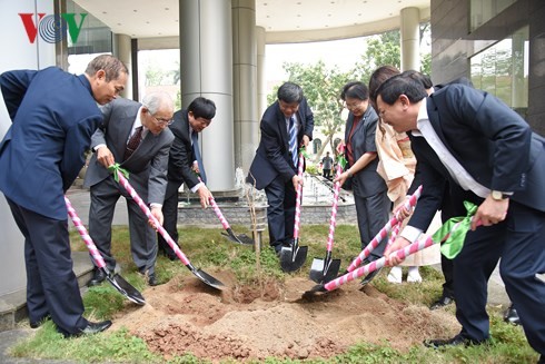 Đài TNVN tiếp nhận 100 cây hoa anh đào do Trường tiếng Nhật Kairinjuku trao tặng - ảnh 5