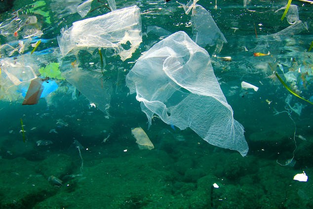 Chống ô nhiễm rác thải nhựa: Nếu bạn không tái sử dụng, hãy ngừng sử dụng - ảnh 4