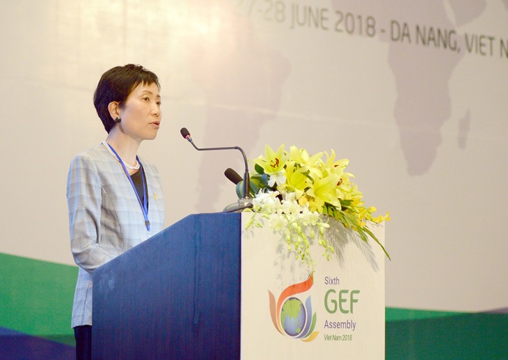 Việt Nam đóng góp vào thành công chung của Kỳ họp lần thứ 6 của Đại hội đồng Quỹ môi trường - ảnh 1