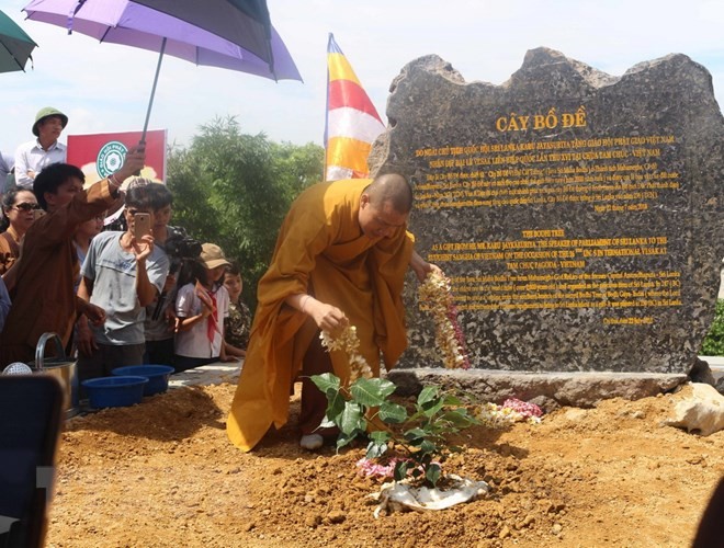 Rước cây Bồ Đề thiêng về trồng tại chùa Tam Chúc, tỉnh Hà Nam - ảnh 1