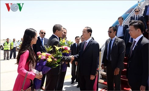Chủ tịch nước Trần Đại Quang thăm cấp Nhà nước đến Ai Cập - ảnh 2