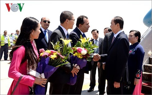 Chủ tịch nước Trần Đại Quang thăm cấp Nhà nước đến Ai Cập - ảnh 3