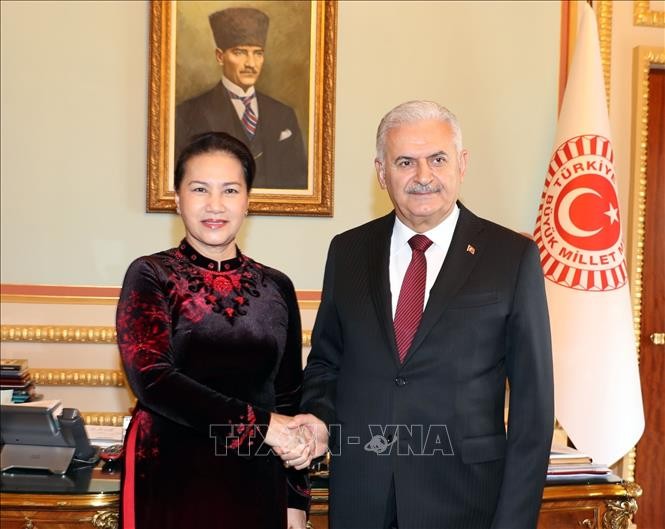 Chủ tịch Quốc hội Nguyễn Thị Kim Ngân kết thúc tốt đẹp chuyến tham dự MSEAP 3 và thăm Cộng hòa Thổ Nhĩ Kỳ  - ảnh 1
