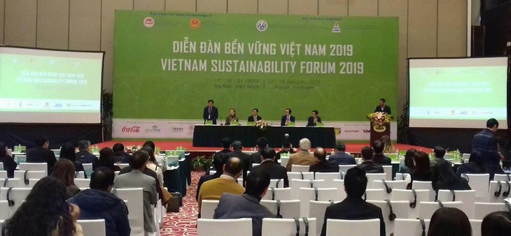 Diễn đàn quốc tế về phát triển bền vững Việt Nam 2019 - ảnh 1