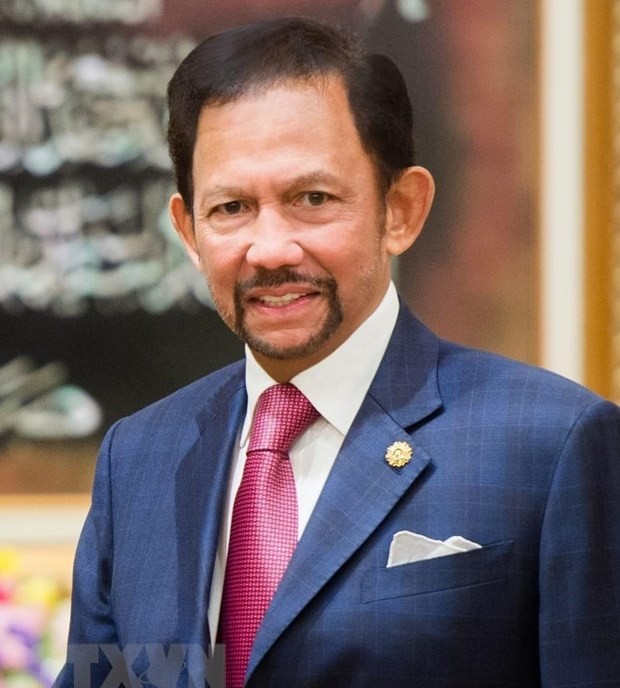   Việt Nam-Brunei tăng cường hợp tác trên các lĩnh vực - ảnh 1