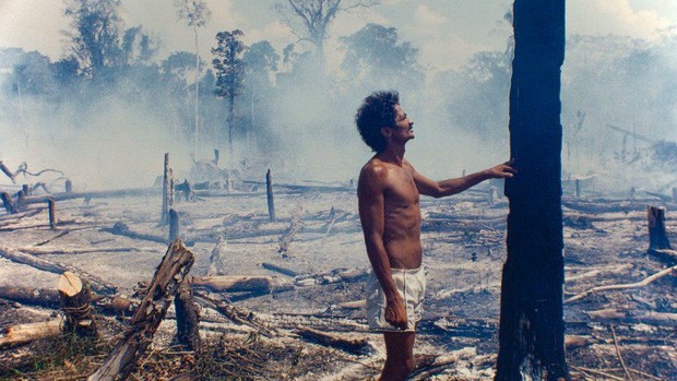 Cháy rừng Amazon không còn là chuyện riêng của từng quốc gia - ảnh 1