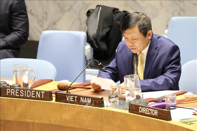 Hội đồng Bảo an LHQ thảo luận về tình hình Mali dưới sự chủ trì của Việt Nam - ảnh 1