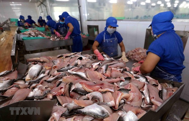 Thuế chống bán phá giá cá tra, basa của Việt Nam vào Mỹ giảm - ảnh 1