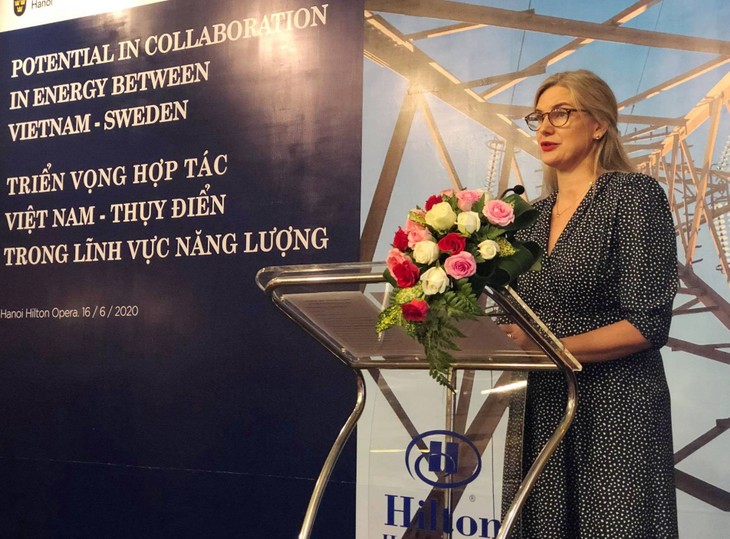  Khởi động hợp tác mới về năng lượng giữa Việt Nam và Thụy Điển - ảnh 2