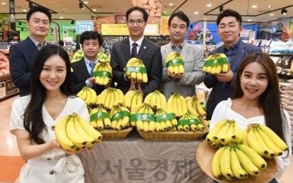 Chuối Việt Nam được bày bán trong hệ thống siêu thị của Lotte Mart tại Hàn Quốc - ảnh 1
