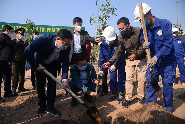 Xây dựng cơ sở dữ liệu bản đồ cây Việt Nam để quản lý, chăm sóc cây xanh - ảnh 1