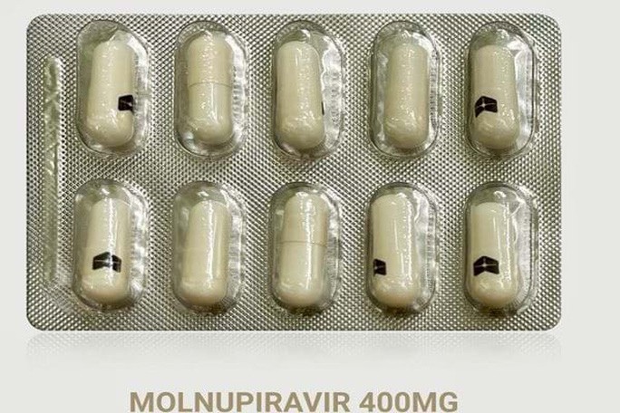 Dịch COVID-19: Thuốc kháng virus Molnupiravir có tỷ lệ âm hóa virus cao - ảnh 1