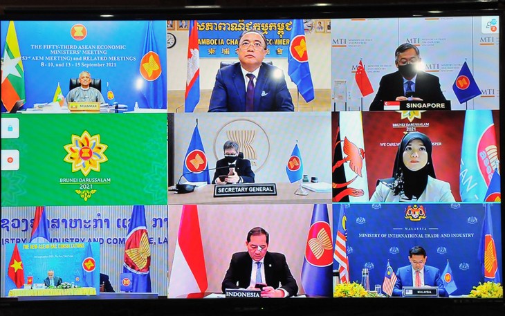 Khai mạc Hội nghị Bộ trưởng Kinh tế ASEAN lần thứ 53 theo hình thức trực tuyến - ảnh 1