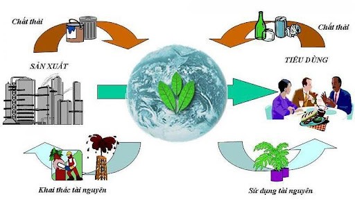  Mô hình kinh tế tuần hoàn- bước đi bền vững cho sự phát triển - ảnh 1