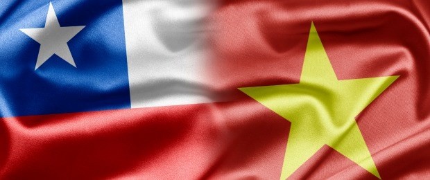 Kỷ niệm 50 năm ngày thiết lập quan hệ ngoại giao Việt Nam-Chile - ảnh 1