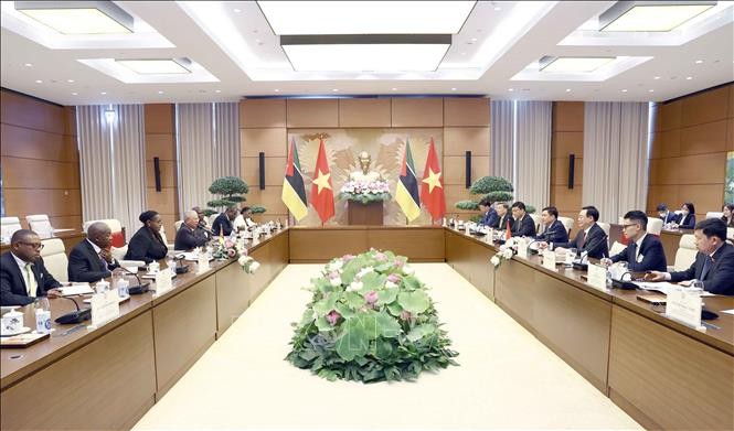 Việt Nam đặc biệt coi trọng quan hệ hợp tác, hữu nghị, truyền thống với Mozambique - ảnh 1