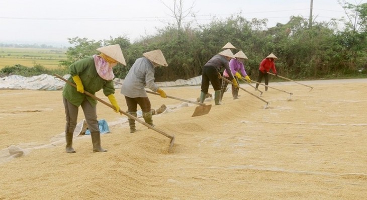 Về vùng đất núi lửa Krông Nô, Đắk Nông, thưởng thức cơm gạo đặc sản - ảnh 2