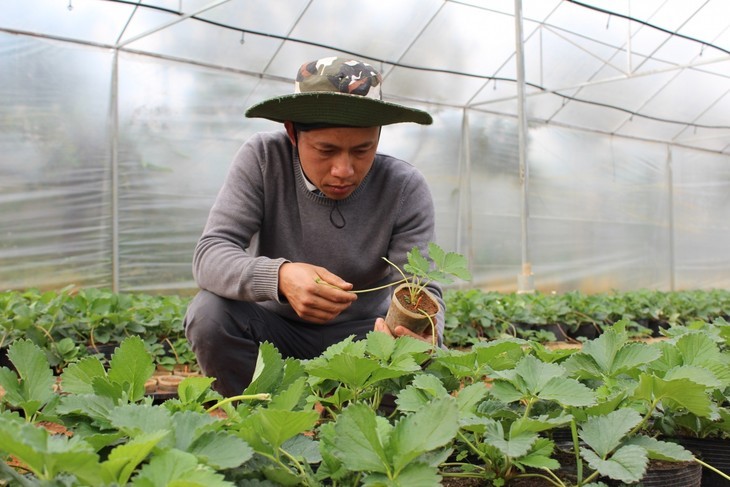 Nông nghiệp kết hợp trải nghiệm, mô hình du lịch đặc sắc ở tỉnh Sơn La - ảnh 1