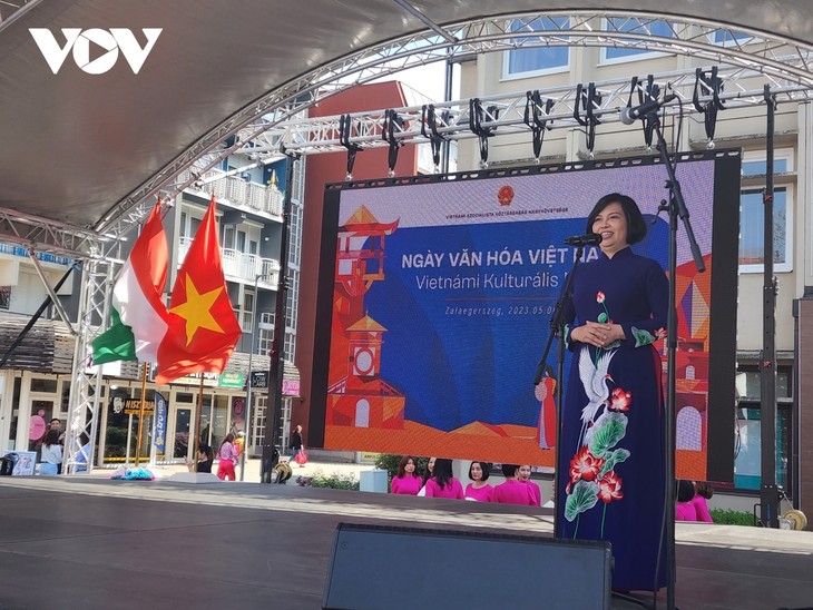 Ngày văn hóa Việt Nam ghi ấn tượng sâu đậm tại Hungary - ảnh 1