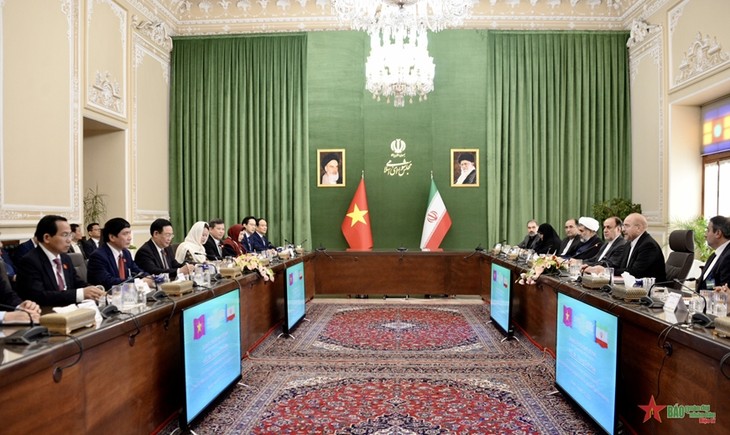 Chủ tịch Quốc hội Vương Đình Huệ và Chủ tịch Quốc hội Iran gặp gỡ báo chí thông báo kết quả hội đàm - ảnh 1