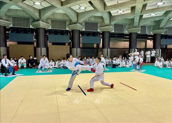 Sôi nổi giải đấu Karate của người Việt tại Nhật Bản - ảnh 1
