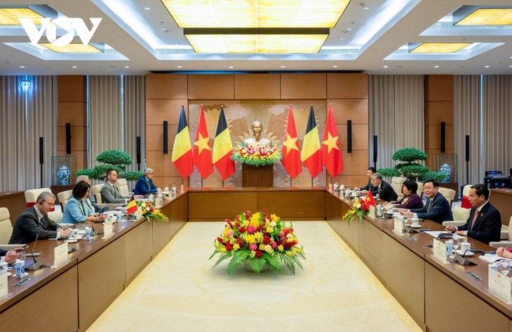 Nâng tầm quan hệ hợp tác nghị viện giữa Việt Nam và Vương quốc Bỉ - ảnh 2