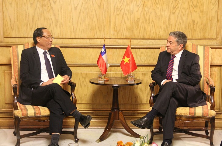 Việt Nam và Chile quyết tâm tăng cường quan hệ hữu nghị và hợp tác - ảnh 1