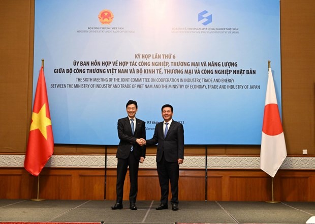 Việt Nam – Nhật Bản thống nhất hợp tác công nghiệp, thương mại và năng lượng - ảnh 1