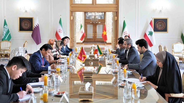 Việt Nam - Iran thúc đẩy hợp tác trong nhiều lĩnh vực - ảnh 2