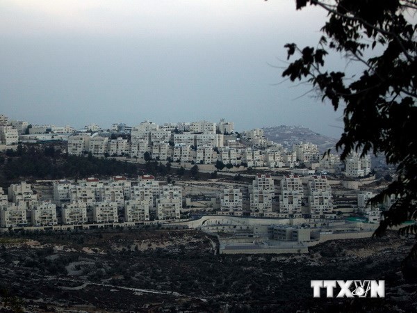 СБ ООН провел экстренное заседание по поводу еврейских поселений в Иерусалиме - ảnh 1