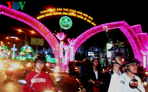 Во Вьетнаме и странах мира встречали Новый 2015 год - ảnh 2