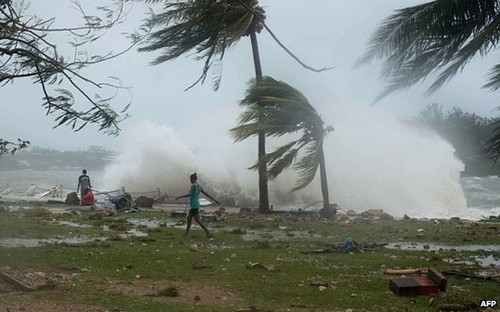 Никто из вьетнамцев в Вануату не погиб от циклона «Пэм» - ảnh 1