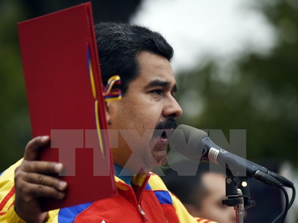 Венесуэла получила поддержку отечественной и международной общественности - ảnh 1