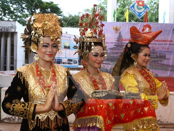 В городе Кантхо состоялся праздник индонезийской культуры  - ảnh 1