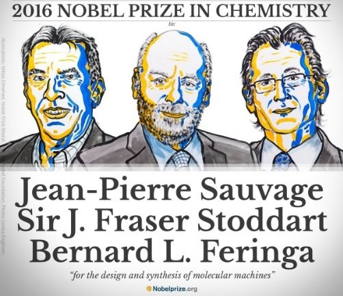 Нобелевскую премию по химии получили ученые из Франции, США и Нидерландов - ảnh 1