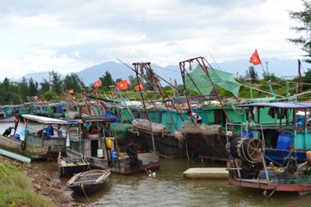 Во Вьетнаме проявляют бдительность в отношении тайфуна «Сарика» - ảnh 1