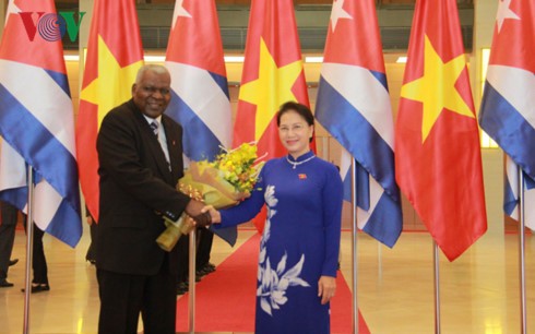 Спикер вьетнамского парламента провела переговоры с кубинским коллегой - ảnh 1