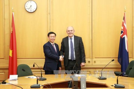 Вице-премьер Выонг Динь Хюэ находится в Новой Зеландии с официальным визитом  - ảnh 1