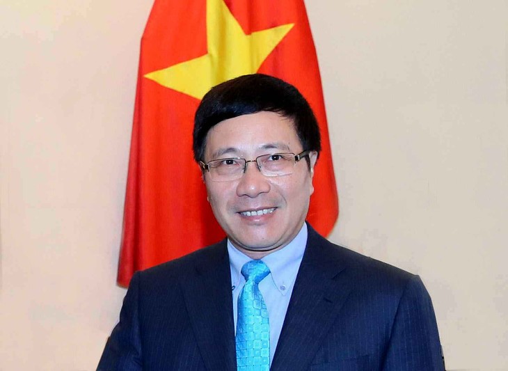 Вице-премьер, глава МИД Вьетнама провёл встречи с министрами иностранных дел некоторых стран - ảnh 1