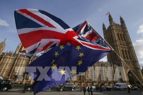 Правительство Великобритании преодолело первое испытание относительно законопроекта по Brexit - ảnh 1