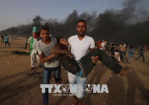 ООН предупредила, что сектор Газа находится на грани войны - ảnh 1
